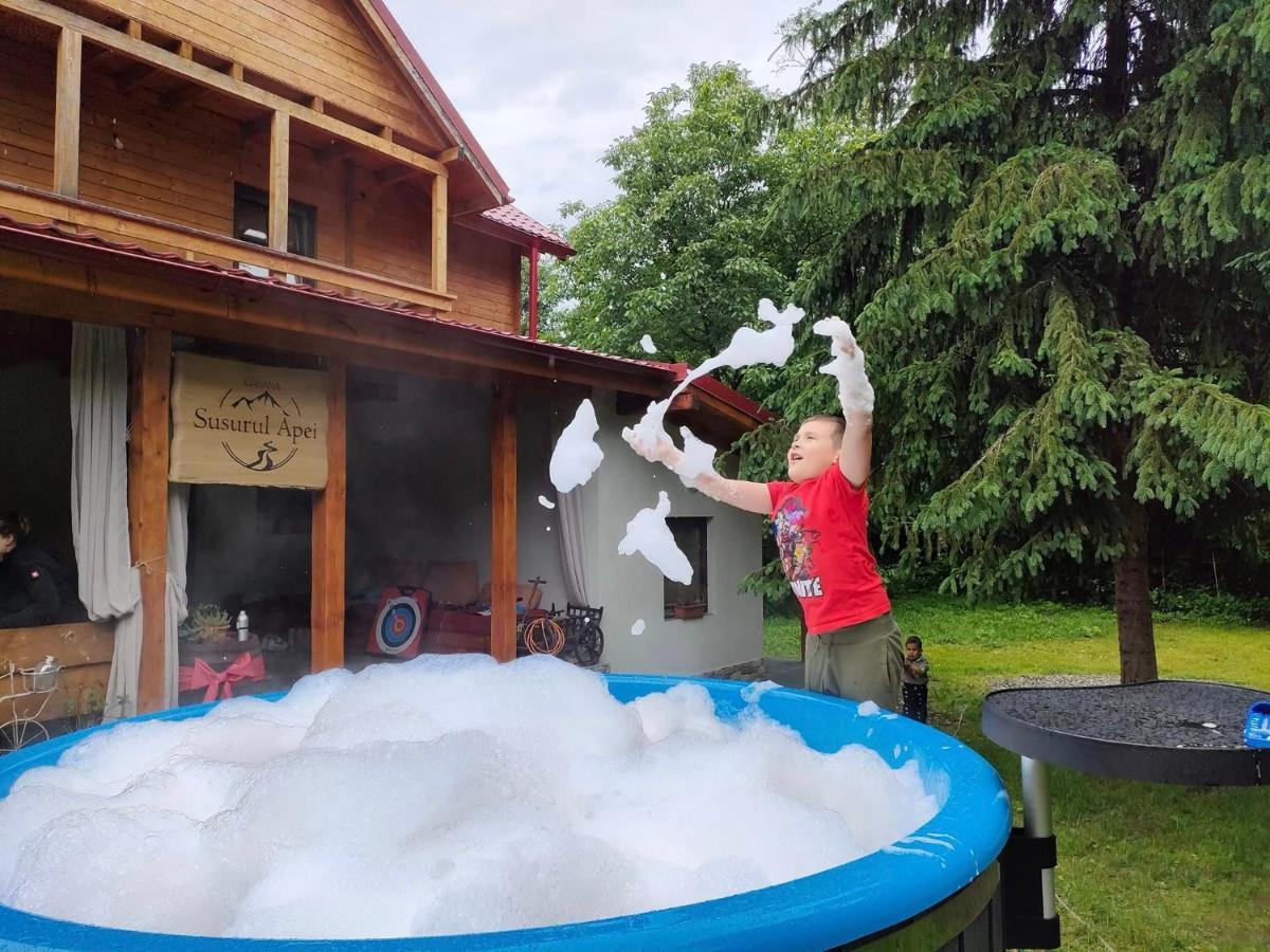 Susurul Apei Chalet Porumbacu de Sus Eksteriør billede