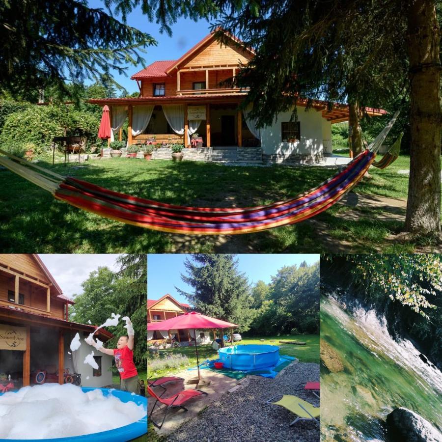 Susurul Apei Chalet Porumbacu de Sus Eksteriør billede